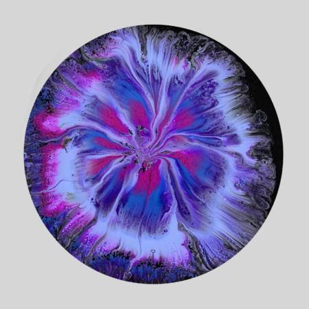 A purple flower with blue and pink petals.