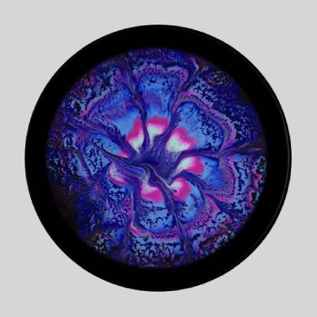 A purple and blue flower with some black around it