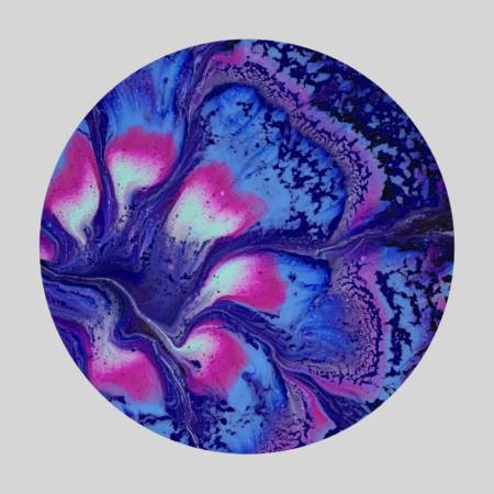 A blue and pink flower with purple petals.